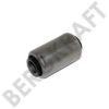 SCANI 255669 Bush, leaf spring